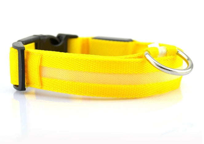 Light Up Their Safety & Your Peace of Mind!