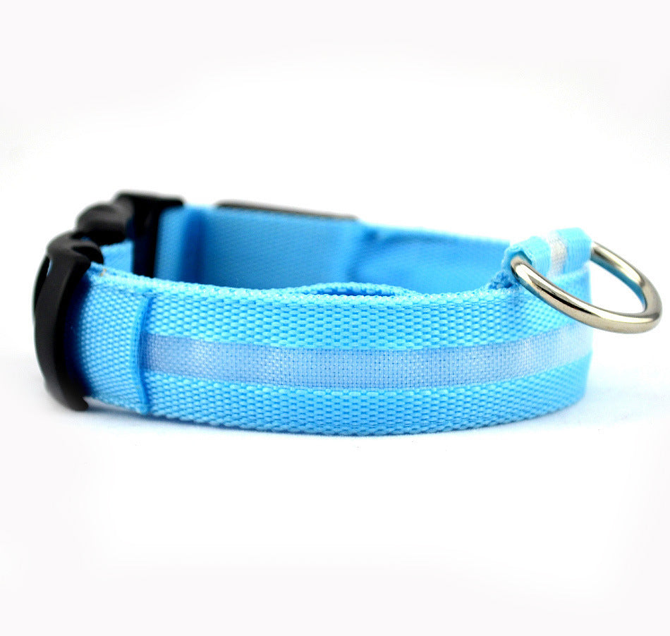 Light Up Their Safety & Your Peace of Mind!