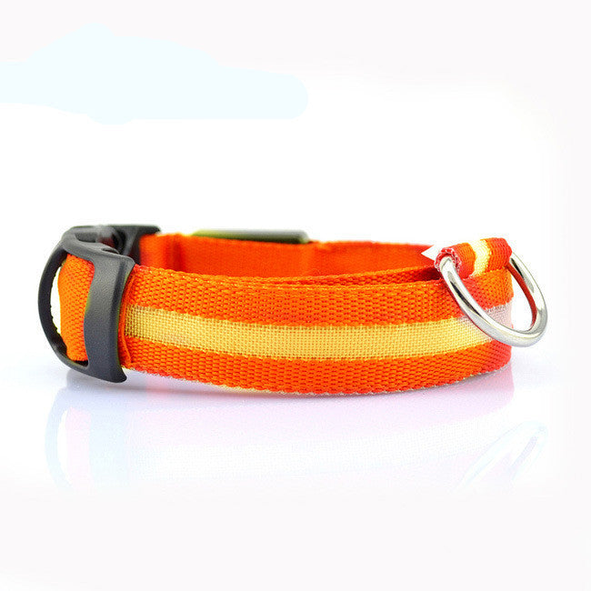 Light Up Their Safety & Your Peace of Mind!