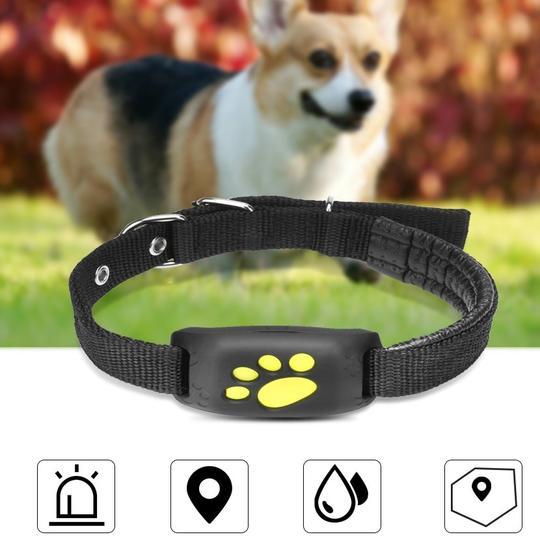 Adventure Together, Worry-Free With Real-Time Tracking.