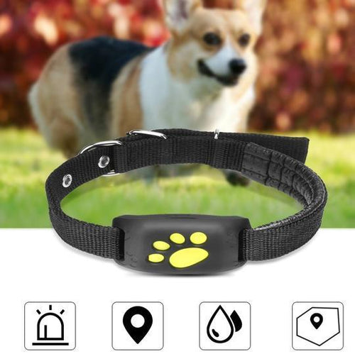 Adventure Together, Worry-Free With Real-Time Tracking.