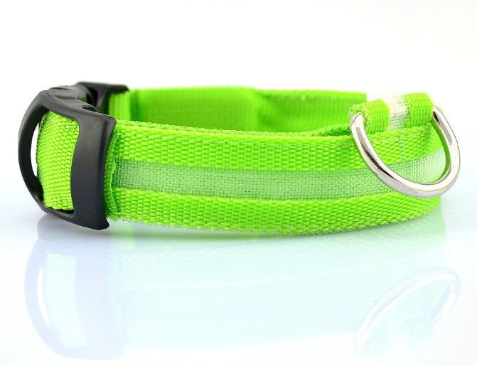 Light Up Their Safety & Your Peace of Mind!