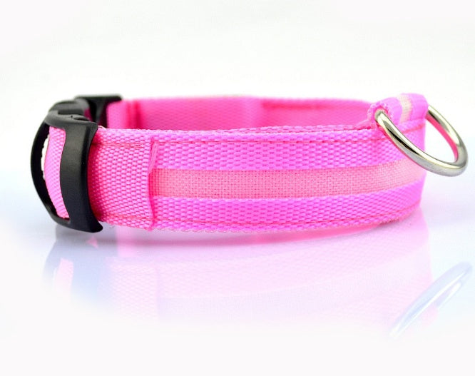 Light Up Their Safety & Your Peace of Mind!