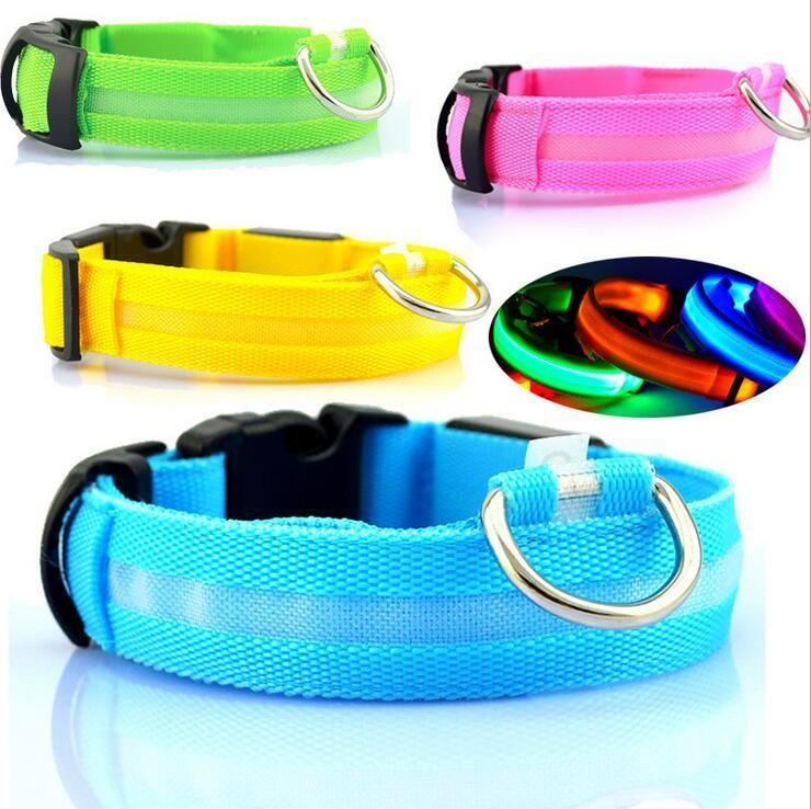 Light Up Their Safety & Your Peace of Mind!