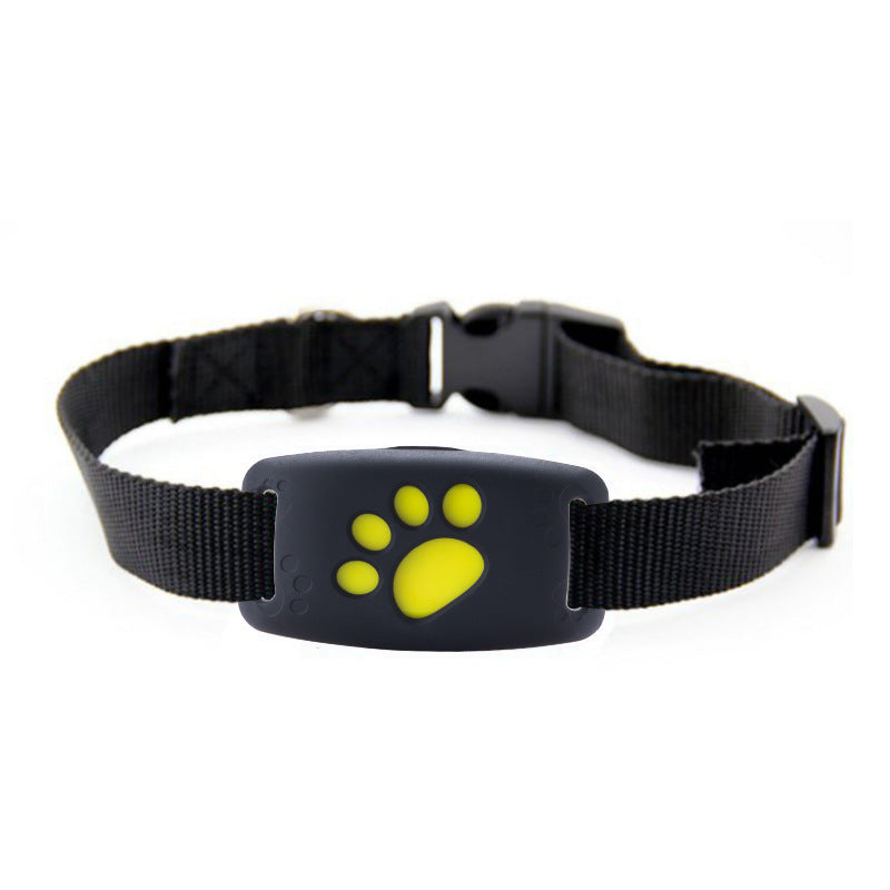 Adventure Together, Worry-Free With Real-Time Tracking.