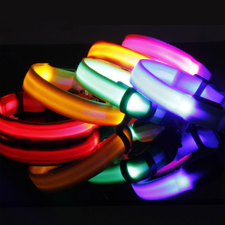 Light Up Their Safety & Your Peace of Mind!