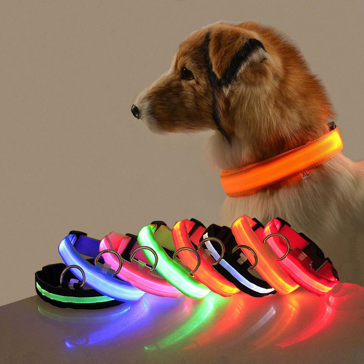 Light Up Their Safety & Your Peace of Mind!