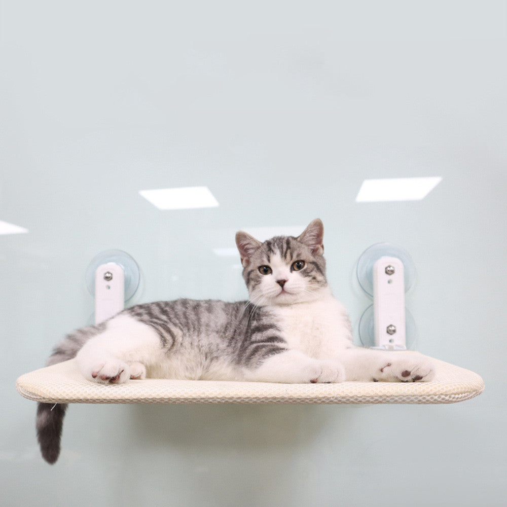 Give Your Kitty The View They Deserve!