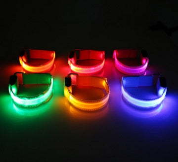 Light Up Their Safety & Your Peace of Mind!