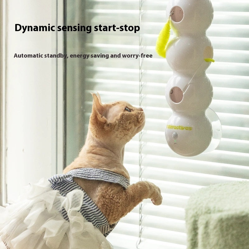 Keep Your Cat Entertained for Hours, Hands-Free!