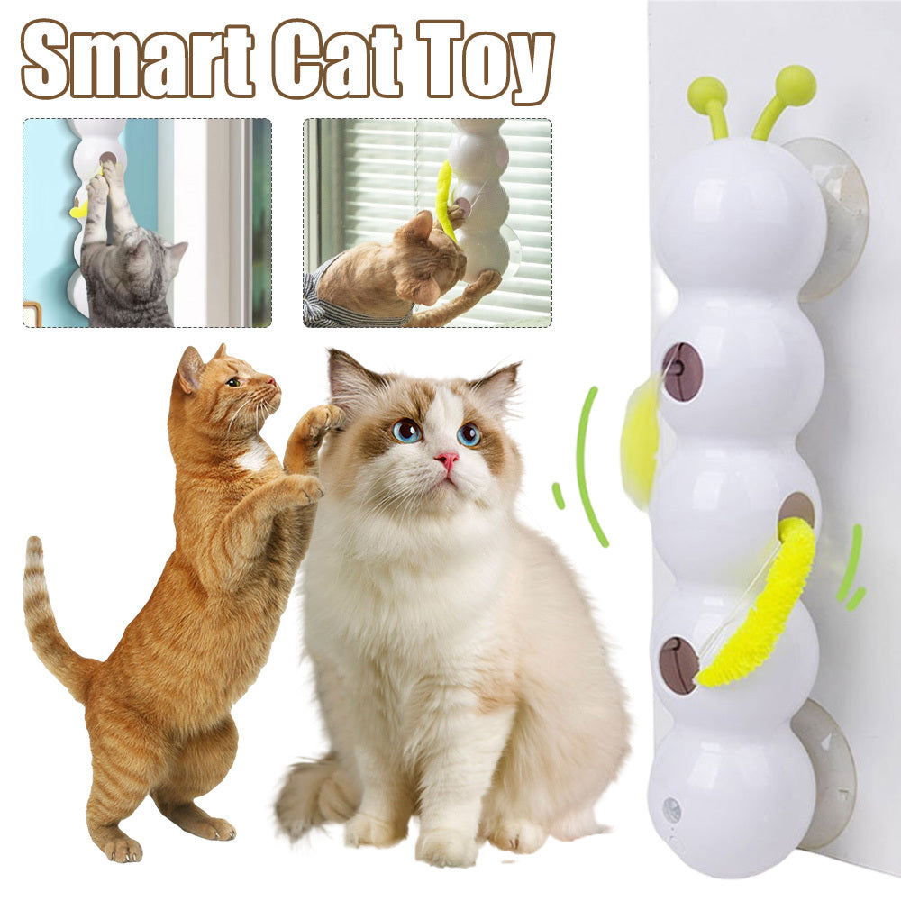 Keep Your Cat Entertained for Hours, Hands-Free!